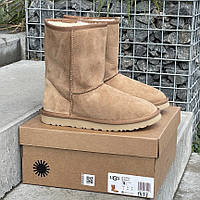 Ugg Classic Short II Chestnut 36