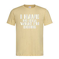 Песочная мужская/унисекс футболка С класним принтом на подарок (20-1-66-пісочний)