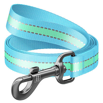 Повідець для собак нейлоновий WAUDOG Nylon, світний/світловідбивний, Ш 25 мм, Д 122 см блакитний