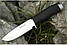 Ніж мисливський Buck Silver / 22 см / 11 см, фото 2