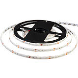 Світлодіодна стрічка червона 12 V smd2835 60 LED/м IP20, фото 3