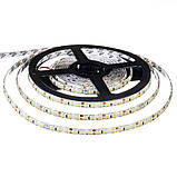 Світлодіодна стрічка біла 12 V smd2835 120 LED/м IP65, фото 3