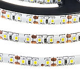 Світлодіодна стрічка біла 12 V smd2835 120 LED/м IP65, фото 4