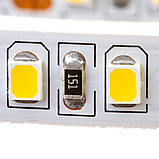 Світлодіодна стрічка нейтральна біла 24V AVT smd2835 120 LED/м IP20, фото 4