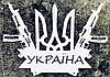 Патріотичні наліпки синьо-жовті  Ukraine Україна з Колосками Пшениці на авто, скло, шафу, ноутбук і таке інше, 15х9 см, синьо-жовт, фото 8