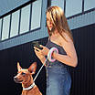 Повідець-рулетка для собак WAUDOG R-leash, кругла, XS-M, до 40 кг, 2,9 м, світловідбивна стрічка рожевий, фото 7