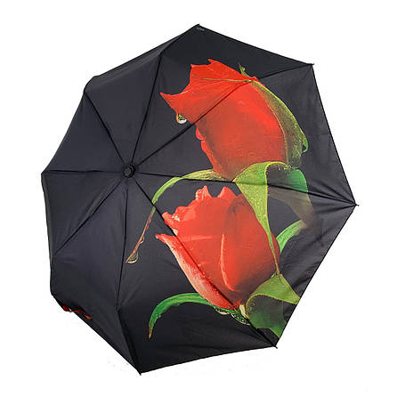 Парасольки