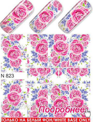 Слайдер-дизайн — N 823, фото 1