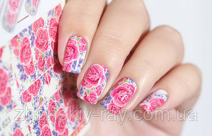 Слайдер-дизайн — N 823, фото 2