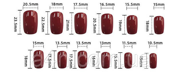 Накладные ногти - Интернет-магазин A4N Размеры накладных ногтей