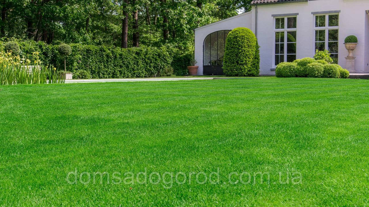 Трава газонна СПОРТ 1 кг
