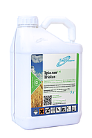 ТРИОЛАН трикомпонентный, системный инсекто-фунгицидный протравитель для пшеницы и ячменя.