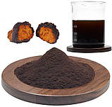 Чага (екстракт), фото 4