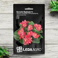 Бегонія Варіація F1 10нас Leda Agro