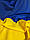 Прапор України державний символ, синьо-жовтий прапор, сувенір у закритій банці, фото 5