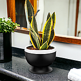 Горщик для квітів Guvvech 1,1 л овальний синій, фото 3