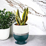 Горщик для квітів Ribbon 1,6 л овальний зелений-білий, фото 5