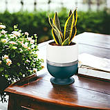 Горщик для квітів Ribbon 1,6 л овальний зелений-білий, фото 4
