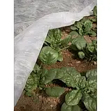 Агроволокно Agreen 9.5х100м 23г\м2 біле в рулоні біле агроволокно для огірків агроволокно для мульчування, фото 4