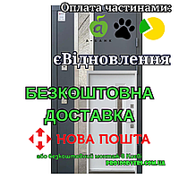 Входные двери Норд улица с терморозривом Qdoors