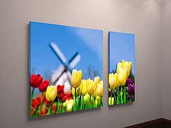 Модульна картина тюльпани Голландія поле тюльпанів млин 100х60 з 2частей