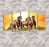 Картина модульная на холсте Лошади Кони на поле Красивый пейзаж с животными 125х70 из 5 частей