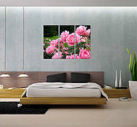 Модульна картина на полотні квіти рожеві півонії 90х60 з 3 частин