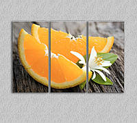 Картина модульная в кухни Апельсин, Дольки апельсина, Цитрус, Цветок, Фрукты 90х60см из 3 частей