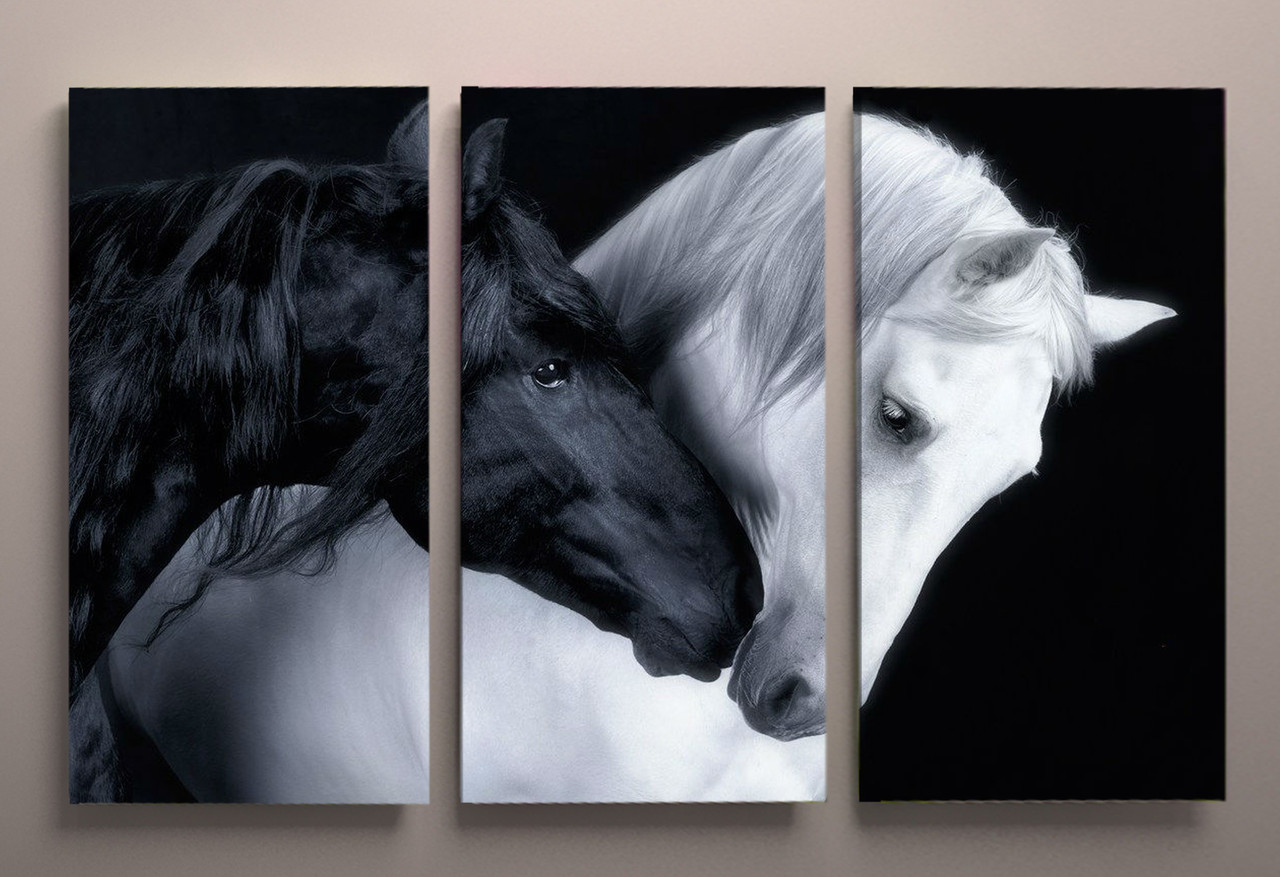 Картина модульна фотодрук на полотні Пара коней Чорно-біла Два коні 90х60 з 3х частин