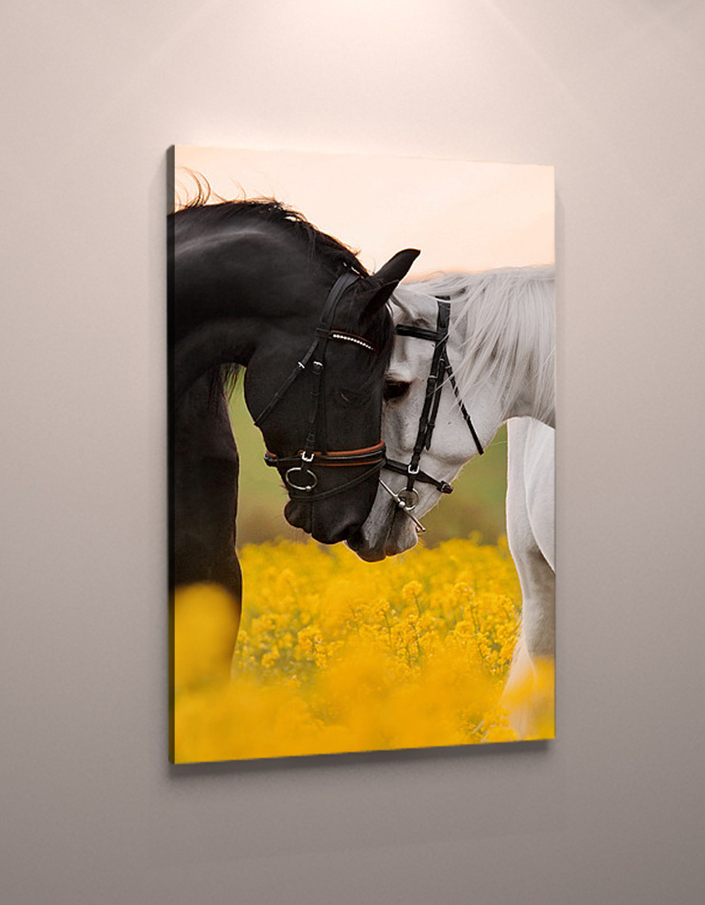 Настінний декор для інтер'єру картина на полотні Коні Два коні Чорна і біла кінь на жовтому полі 60х40