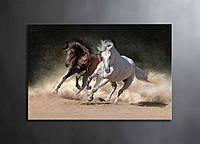 Інтер'єрна картина на полотні Красиві коні Пара коней 60х40 і інші розміри на замовлення