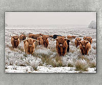 Картина буйволи з великими рогами Бізони на природі дикі тварини в полі Друк на полотні
