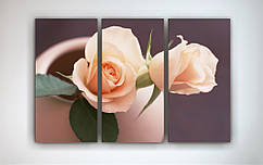 Модульна картина на полотні Троянди квіти 90х60 з 3 частин