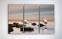 Модульная картина на холсте декор дома интерьерная Фламинго, Вода, Камни 90x60см из 3 ч