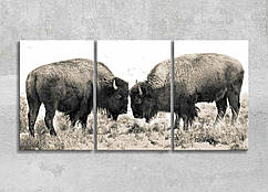 Картина модульна Бізони Дика природа Світ тварин Буйволи Ретро стиль Природа Сучасний декор на стіну