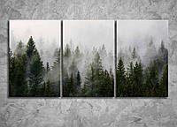 Картина з частин Туманний ранковий ліс Пейзаж декор для спальні вітальні офісу 120*60 з 3х модулів