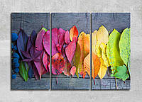 Картина Разноцветная палитра Яркие Осенние листья Природа Опавшие листья Декор на стену Цветные листики