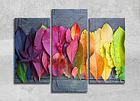 Картина модули Разноцветная палитра Яркие Осенние листья Природа Опавшие листья Декор на стену Цветные листики