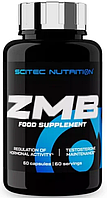 ЗМА Scitec Nutrition ZMB6 60 caps