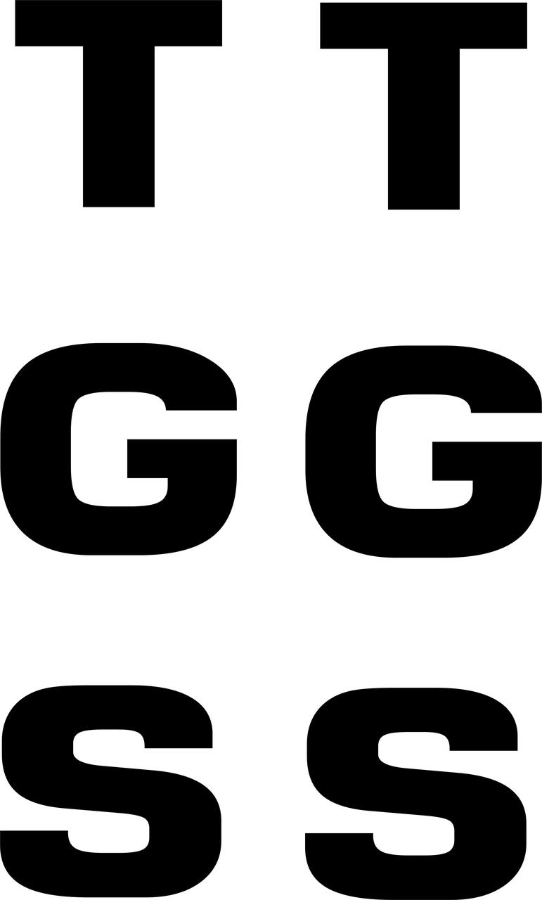 Комплект наклейок MAN TGS 40 х 8.7 см