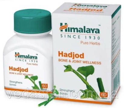 Hadjod, Хаджод — профілактика та лікування переломів, сприяє збільшенню щільності кісткової тканини