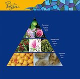 Parfums Pergolese Paris Rue Pergolese Парфюмована вода для жінок, 50 мл, фото 5