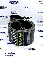 Ремені-шлея