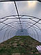 Каркас тепличний оцинкований 6х6х2,8 м для фермерської теплиці, фото 2