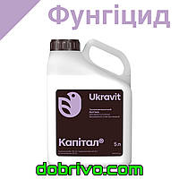 Фунгицид Капитал 5 л. (Епоксиконазол, 50 г/л + азоксистробин, 150 г/л + ципроконазол, 60 г/л)
