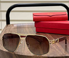 Чоловічі сонцезахисні окуляри GG (0652) gold Lux