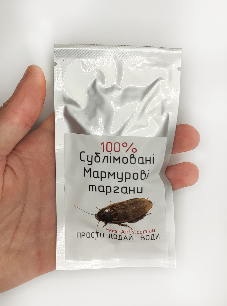 Сублімований мармуровий тарган "Просто додай води!" для : рептилій , їжаків , мурах , птиць , гризунів, фото 1