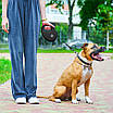 Повідець-рулетка для собак WAUDOG R-leash з контейнером для пакетів, світловідбивна стрічка, L, до 40 кг, 5 м,, фото 8