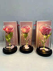 Троянда в колбі під скляним куполом стабілізована квітка Pink з підсвіткою Велика