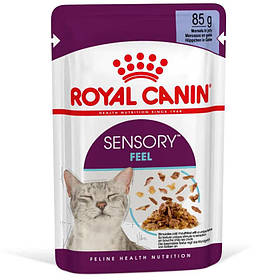 Royal Canin SENSORY FEEL в желе, 85г